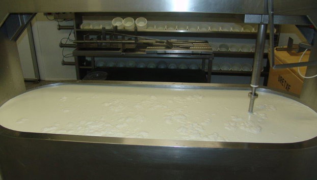 Expérience unique du fromage d'Idiazabal - Visite en petit groupe - Photo 4